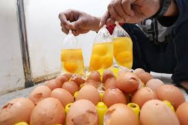Persentase telur retak dan pecah meningkat. Siasati Pakai Telur Sortiran Untuk Mendapatkan Harga Murah Radarjember Jawapos Com