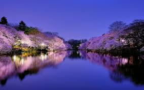 If you're looking for the best cute japanese backgrounds then wallpapertag is the place to be. 76 Japanese Desktop Wallpaper On Wallpapersafari