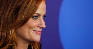 If tina fey has her own subreddit, so should amy poehler. How Did Amy Poehler Become Hollywood S Favourite Person