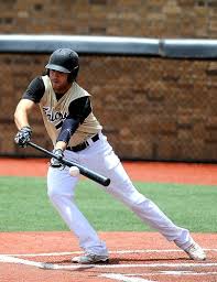 Dramatic Bushland Falcons soar to Class 2A baseball state semifinals