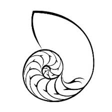 Maybe you would like to learn more about one of these? Tattoo Of Nautilus Golden Ratio Tattoo Custom Tattoo Designs On Tattootribes Com