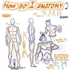 How to draw an anime body. How To Draw Anime Boy Anatomy Novocom Top