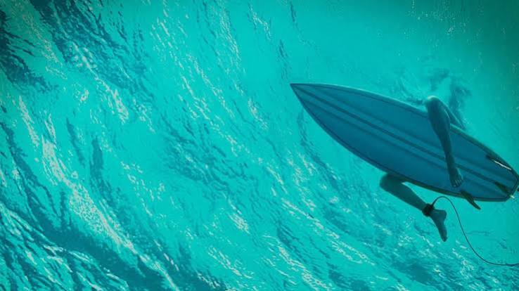 The Shallows Review