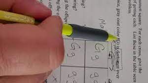 Here's a collection of ideas and resources for teaching everything from genetic mutation to cloning mice, just in time for jeans for genes day. Monohybrid Mice Worksheet Youtube