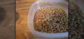 How To Make Homemade Baby Bird Food Birds Wonderhowto