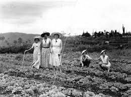 An Indies Couple Colonial Communities And Issues Surrounding Identity In The Dutch East Indies Ca 1890 1930s
