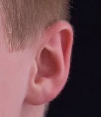 Ear Infections Ear Infection Ear Infection Remedy Ear Infection Home Remedies