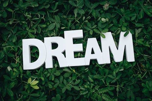 dream