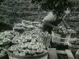 Alabama Song Of The South Sweet Potato Pie Shut My Mouth Alabama Song Country Music Videos Song Of The South