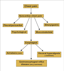 Differential Diagnosis Of Noncardiac Chest Pain Download Scientific Diagram