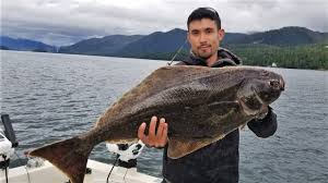 The fish—we use cod, but any flaky variety people can be intimidated by cooking fish for tacos, but don't be! Food Drink How To Cook Fish Like An Alaskan Fisherman Pressfrom Canada