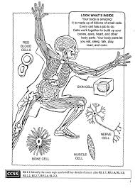 Human body coloring pages to color, print and download for free along with bunch of favorite human body coloring page for kids. My First Human Body Coloring Book Patricia J Wynne Donald M Silver 9780486494104 Christianbook Com