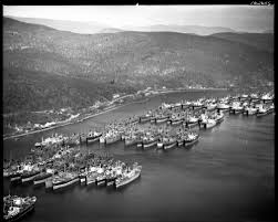 Image result for White 1971 Fleet