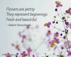 Five syllables in the first line, seven in the second, and five again in the third. How To Write Summer Haiku Poem Editor Bob S Blog