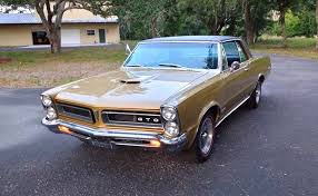 Image result for Tiger Gold 1965 GTO