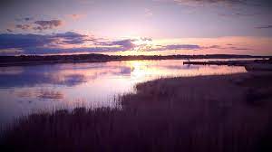 Check spelling or type a new query. Forside Naturpark Randers Fjord