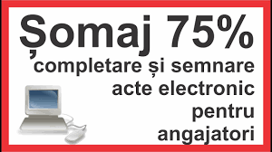 Pentru ca cei care au calitatea de somer sa primeasca indemnizatie de somaj, trebuie sa se. Angajatori Completare Si Semnare Acte Electronic Pentru Somaj Tehnic 75 Youtube