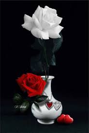 Pin By Denia Murcia On B W With Color 4 Beautiful Flowers Beautiful Flowers Wallpapers Beautiful Roses