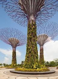 Gardens By The Bay Tropical Garden In Singapore Supertree Structures Measuring Up To 50 Metres In Height Hav Gardens By The Bay Garden Art Gorgeous Gardens