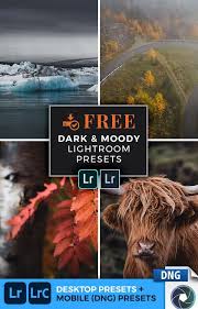 Free Dark Moody Lightroom Presets For Desktop Mobile Dng In 2020 Lightroom Presets Free Lightroom Lightroom Presets Download