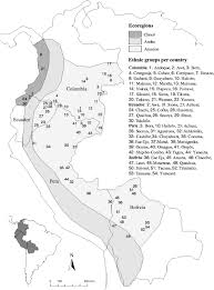The moche and nazca cultures continue to flourish along the peruvian coast. Palm Uses In Northwestern South America A Quantitative Review Springerlink