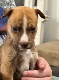 Happy Birthday to all of you jarheads out there! Uncle Sam's Misguided  Children are a rare breed!