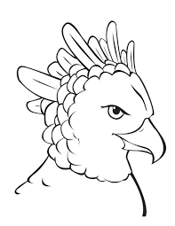 Learning letter eagle coloring page place color pages. Easy Eagle Coloring Pages Novocom Top