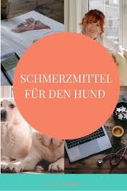 Pin Auf Hundekrankheiten I Vet Dogs Dein Online Tierarzt