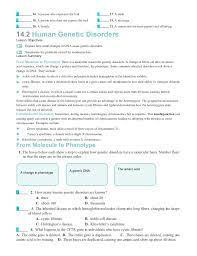 Several human genelic disorders are caused by extra, missing, damaged chromosomes. Chapter14worksheets