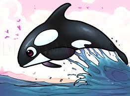 Draw mouth, eye and markings. How To Draw A Baby Orca Step By Step Drawing Guide By Dawn Dragoart Com