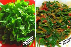 Tumbuhan ini tergolong dalam famili amaranthaceae. Resipi Bayam Brazil Goreng Belacan Mudah Sedap Buka Selera