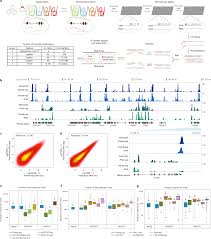 An Ultra High Throughput Method For Single Cell Joint