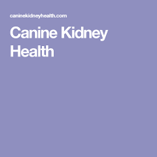 Canine Kidney Health Kidney Health Kidney Disease Recipes Causes Of Kidney Disease