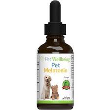 Looking for the perfect kitchen utensils to take your cooking game up a notch? Best Selling Pet Wellbeing Melatonin Calming Bacon Flavor Liquid Dog Supplement 2 Oz Bottle Accuweather Shop