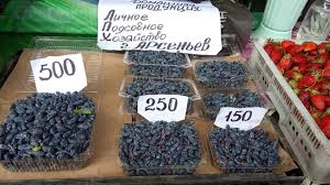 Жимолость (lonicera) ― это типовой род семейства жимолостные. Zhimolost Vo Vladivostoke Dorogo I Malo