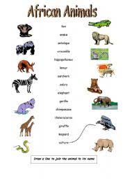 Approximately 100,000 insect species and 1,100 mammals, in addition to tens of thousands. African Animals Worksheets