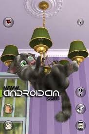 Konusan Kedi Talking Tom Cat Indir Kedi Android Uygulamalar