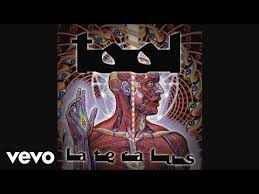 The fibonacci sequence and golden ratio are eloquent equations but aren't as magical as they may seem. Lateralus By Tool Songfacts