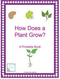 The life cycle of a bean plant. How Plants Grow Worksheets Teaching Resources Tpt