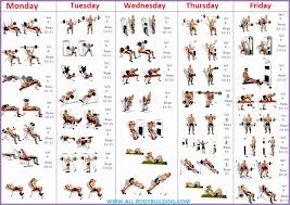 Arms Bodybuilding Exercises Chart 458640v9qepe Inspirational