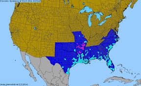 Image result for Aeschynomene sp. B