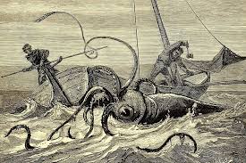 As in other octopoteuthidae, the tentacles are absent in adults. Giant Squid Giant Secrets Jstor Daily