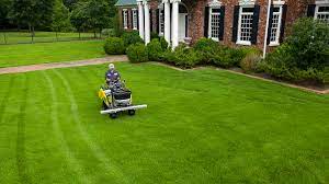 You can hire a professional service simply to mow your lawn each week for a fairly minimal cost. Are Lawn Services Worth It 3 Questions To Ask Before You Hire A Lawn Care Company