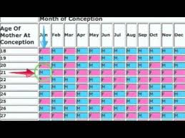 Ice Cream Smoothie Chinese Gender Prediction Chart