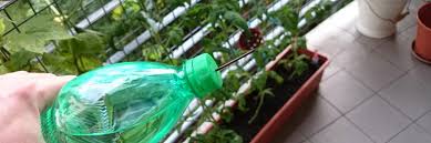 Die einfachste art zimmerpflanzen zu bewässern ist mit einem wasserspender. Blumen Giessen Im Urlaub So Einfach Ist Es Wirklich Anleitung Diybook De