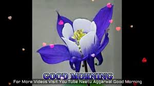 Pin your favorite quotes, poems or photos about saturday!! Good Morning Flowers For You Good Morning Wishes Greetings Sms Sayings Quotes E Card Whatsapp Video Youtube