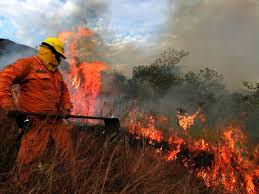 El cuerpo de bomberos de cali informó que al incendio en el recinto van en camino 3 máquinas, 12 unidades, una ambulancia y un paramédico. Dos Decadas Tardaria La Recuperacion Ambiental De Los Cerros De Cali