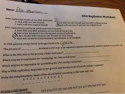 = leading strand input it if you want to receive answer. Solved Name Ellie Newman Dna Replication Worksheet Dna R Chegg Com