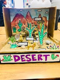 Desert Biome In A Box Desert Biome Diorama Grade 3 Desert Biome Biomes Diorama