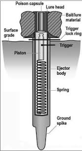 Image result for Cyanide